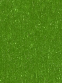 Натуральный линолеум Trentino XF2 2.5 mm Moss