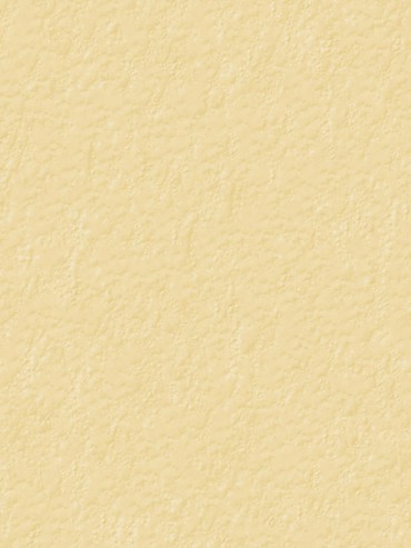 ProtectWall 2CR Solid Beige