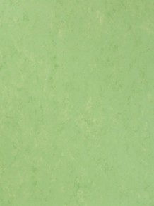 Натуральный линолеум Veneto Essenza 2.5 mm Apple Green
