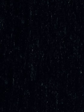 Натуральный линолеум Trentino XF2 2.5 mm Starry Sky