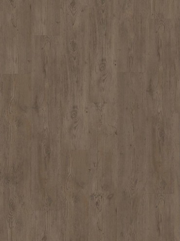 ID Inspiration Click Legacy Pine Brown