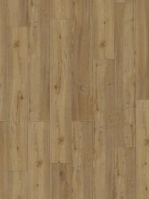 Виниловая плитка Starfloor Click 30 & 30 PLUS Soft Oak Natural