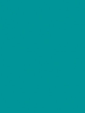 Omnisports Reference 6.5mm Solid TEAL