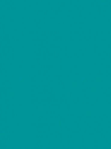 Omnisports Reference 6.5mm Solid TEAL