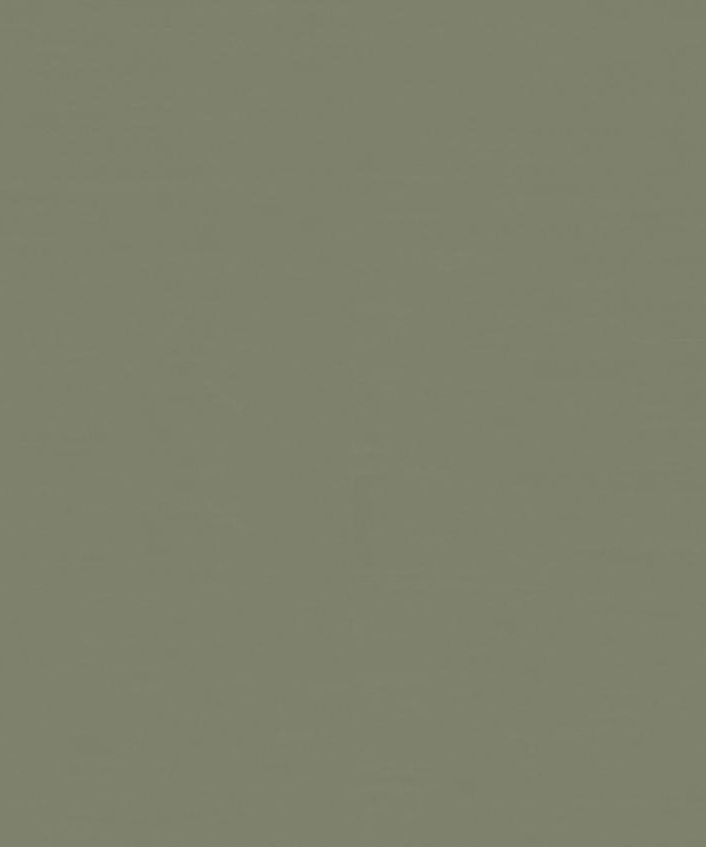 naturalniy-linoleum-dlya-sten-tarkett-linowall-xf2-2mm-crocodile-191 Натуральный линолеум для стен Tarkett Linowall xf2 Crocodile 191 оливково-зеленого цвета макро-фото текстуры поверхности