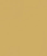 Натуральный линолеум для стен Tarkett LinoWall xf² (2mm) Linowall Honey 112
