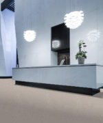 Пример укладки натурального линолеума Tarkett Veneto xf² Eco 504 в интерьере ресепшен