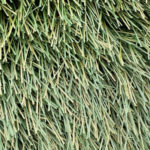 Крупный план монофиламентного ворса искусственной травы FieldTurf XM7 50-14 для спортивных полей