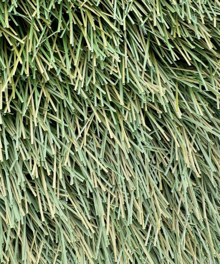 Искусственная трава для футбольных полей FieldTurf XM7 50-14 Крупный план монофиламентного ворса искусственной травы FieldTurf XM7 50-14 для спортивных полей