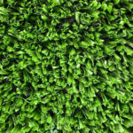 Крупный план густого монофиламентного ворса искусственной травы FieldTurf Optimal XT 20-17 для спортивных площадок
