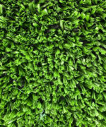 Крупный план густого монофиламентного ворса искусственной травы FieldTurf Optimal XT 20-17 для спортивных площадок