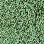 Крупный план упругого двухцветного ворса спортивной искусственной травы FieldTurf XM7 60-13 для футбольных полей