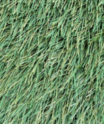 Крупный план упругого двухцветного ворса спортивной искусственной травы FieldTurf XM7 60-13 для футбольных полей