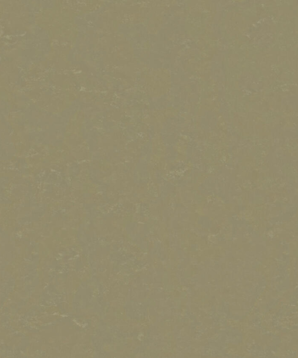 naturalniy-linoleum-tarkett-originale-xf2-bfl-2-5-mm-originale-lichen-495-italiya Крупный план лицевой поверхности натурального линолеума Tarkett Originale xf2 Bfl Lichen 495