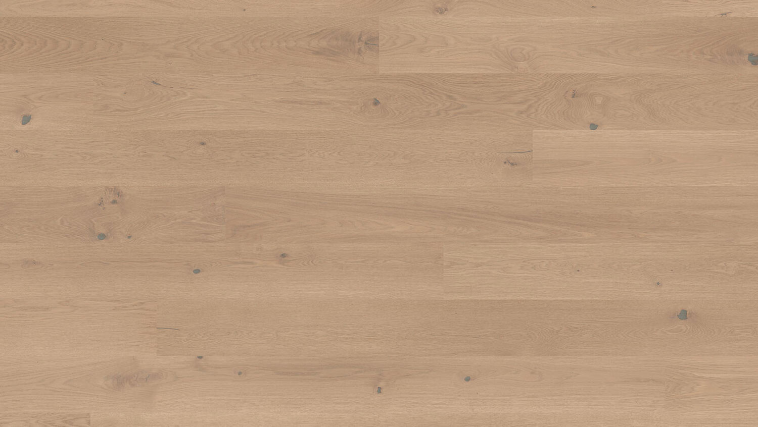 Крупный план раскладки планок премиальной паркетной доски Tarkett Grace Oak Beige Cashmere в горизонтальном ракурсе