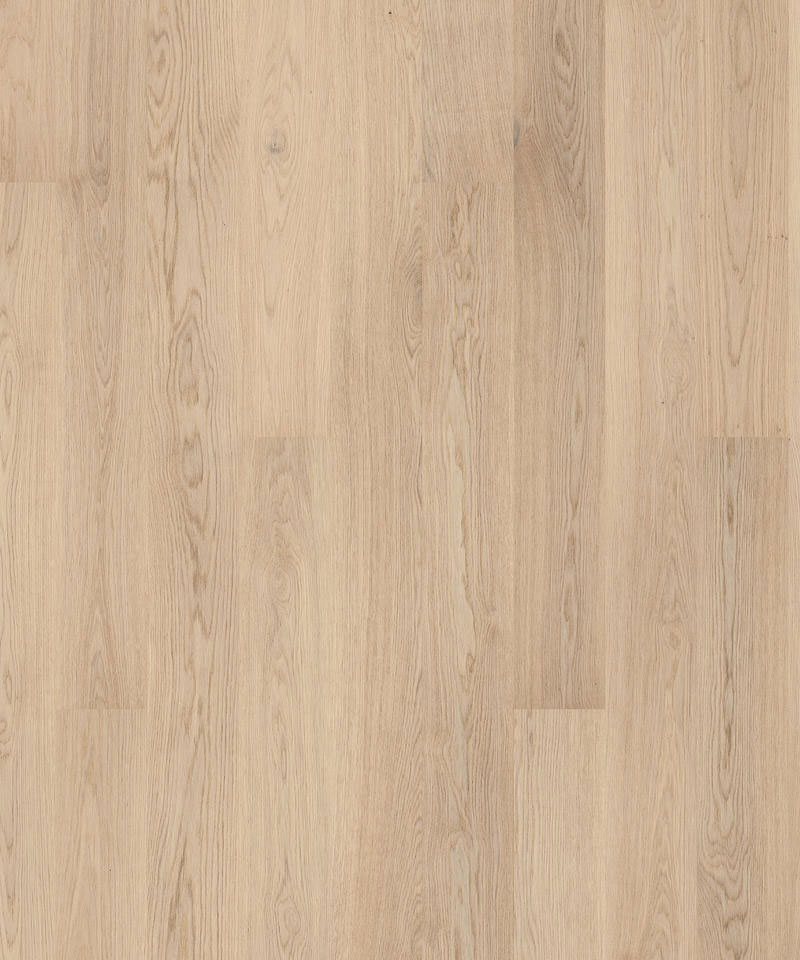 TH_Wood_Grace_Oak_Soft_Skin_Plank_01 Крупный план лицевой поверхности паркетной доски Tarkett коллекции Grace в нежном светлом дизайне Oak Soft Skin