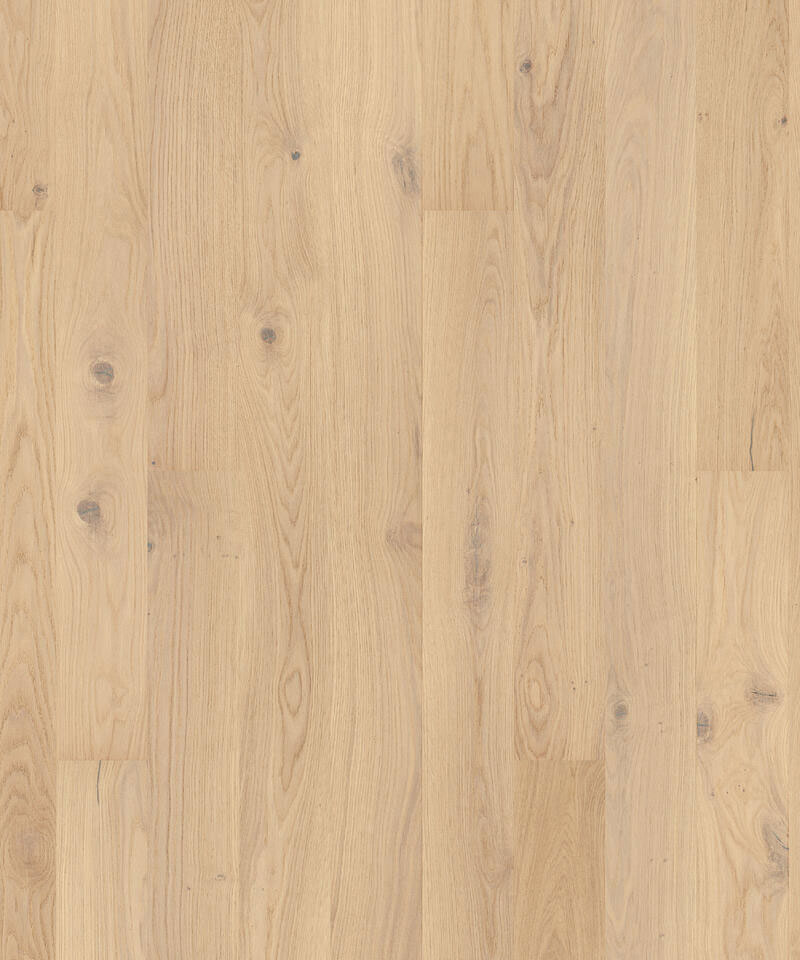 TH_Wood_Grace_Oak_White_Canvas_Plank_01 Крупный план текстуры трехполосной паркетной доски Tarkett Grace Oak White Canvas Tres.