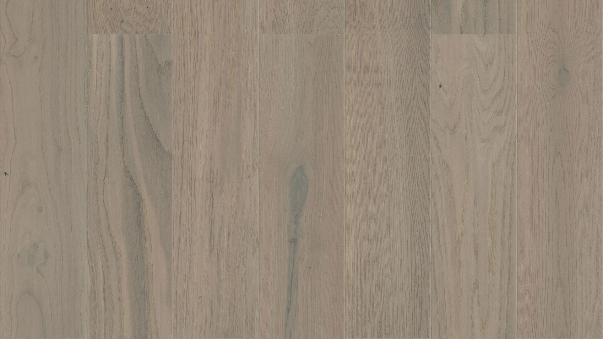 Близкий ракурс доски Tarkett Step Oak Royal Grey раскрывает благородную однополосную структуру натурального дуба в утонченном кофейно-сером цвете.