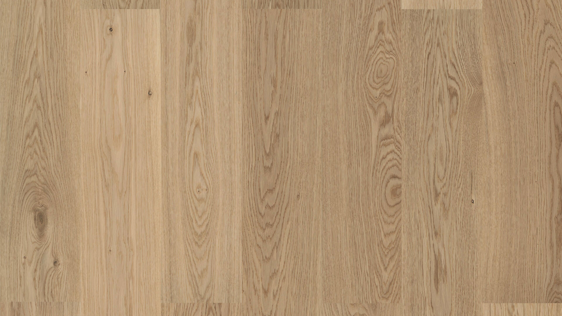 Детализированный снимок Tarkett Step Oak Savanna Premium наглядно передает мягкий природный рисунок волокон дуба в элегантном бежевом оттенке.