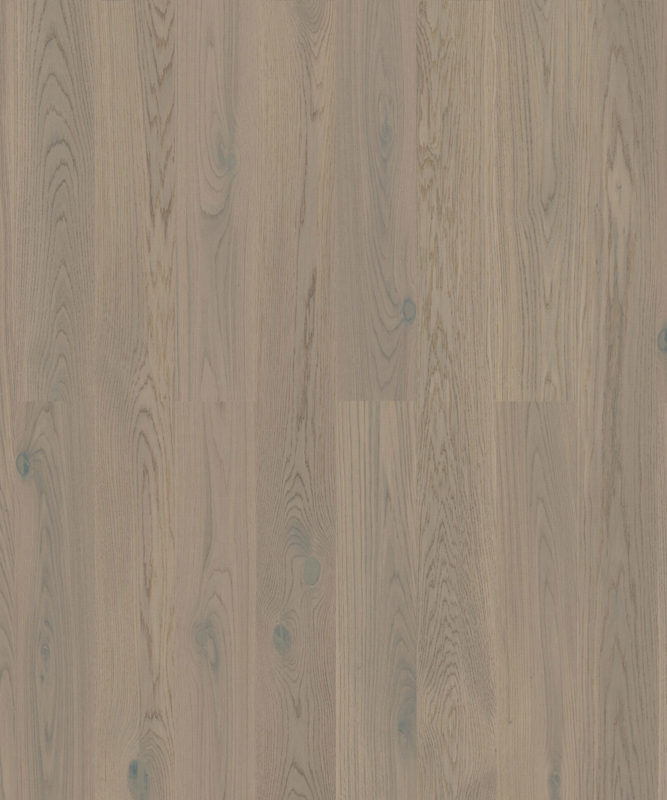 Паркетная доска Tarkett Rumba Oak Modern Grey трехполосная, крупный план текстуры дуба в современном сером оттенке с мягким рисунком волокон.