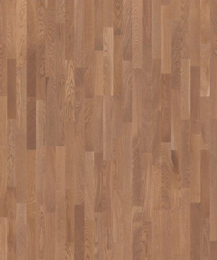 Крупный план доски Tarkett Salsa Premium Oak Alexandrite детально передает выразительный рисунок и медовый оттенок трехполосного дуба.