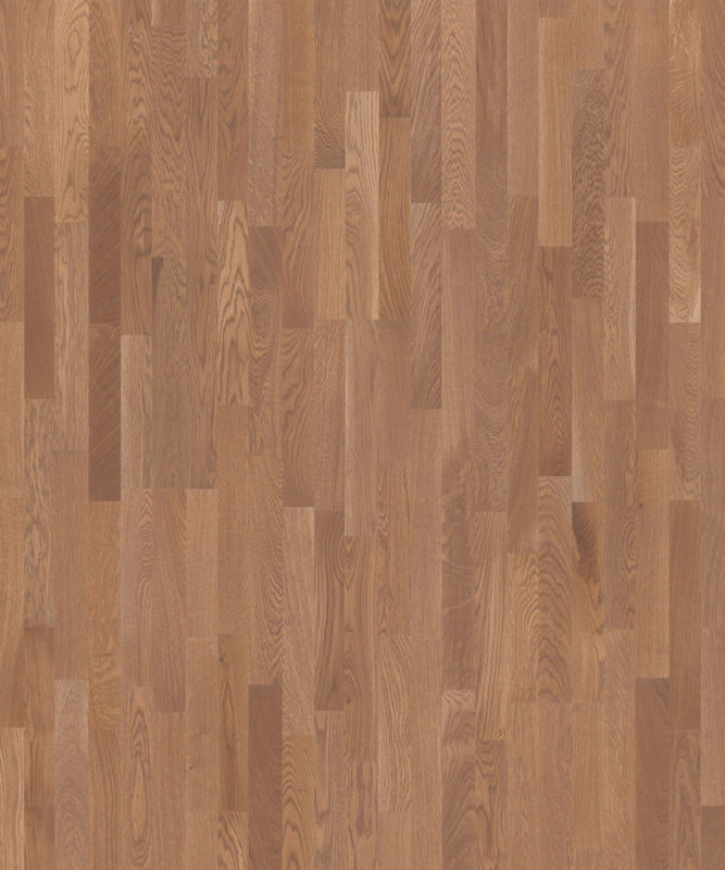 Крупный план доски Tarkett Salsa Premium Oak Alexandrite детально передает выразительный рисунок и медовый оттенок трехполосного дуба.