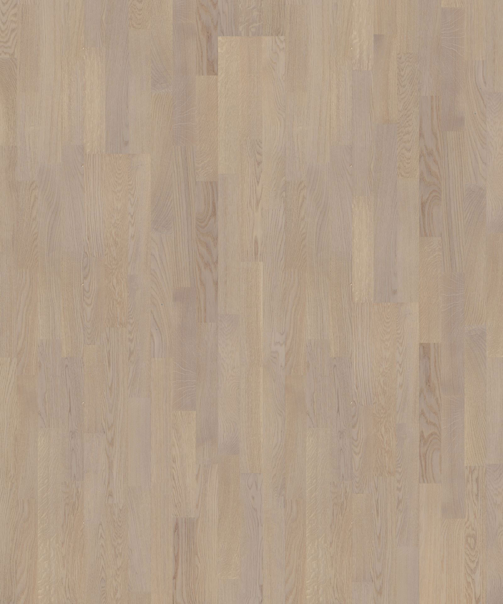 TH_SALSA_OakAmaryllis-1 Паркетная доска Tarkett Salsa Oak Amaryllis трехполосная, крупный план текстуры дуба в светлом серо-бежевом оттенке с мягким рисунком волокон.