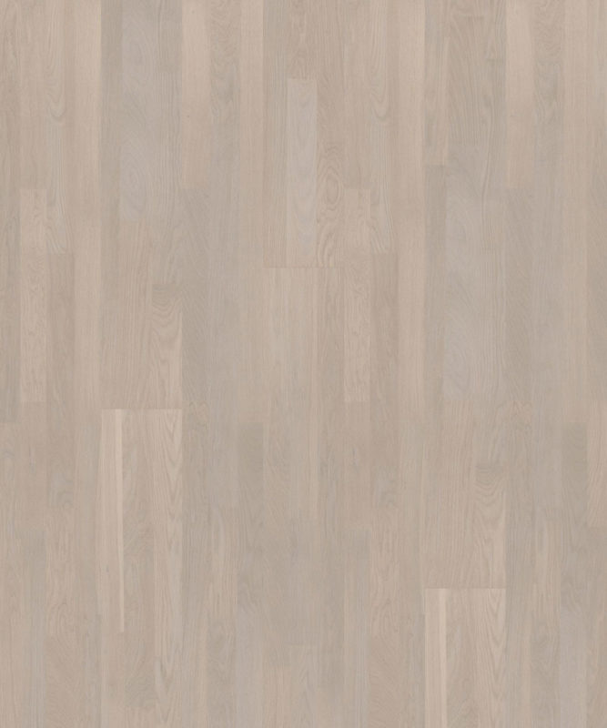Паркетная доска Tarkett Salsa Oak Camelia трехполосная, крупный план текстуры дуба в нежном серо-кремовом оттенке с матовой поверхностью.