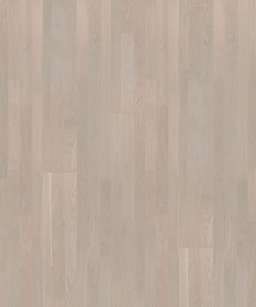 TH_SALSA_OakCamelia-1 Паркетная доска Tarkett Salsa Oak Camelia трехполосная, крупный план текстуры дуба в нежном серо-кремовом оттенке с матовой поверхностью.