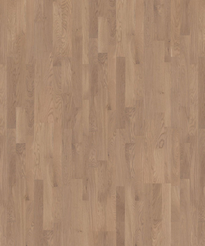 Паркетная доска Tarkett Salsa Oak Iris трехполосная, крупный план текстуры дуба в приглушенном серо-бежевом оттенке с мягким рисунком волокон.