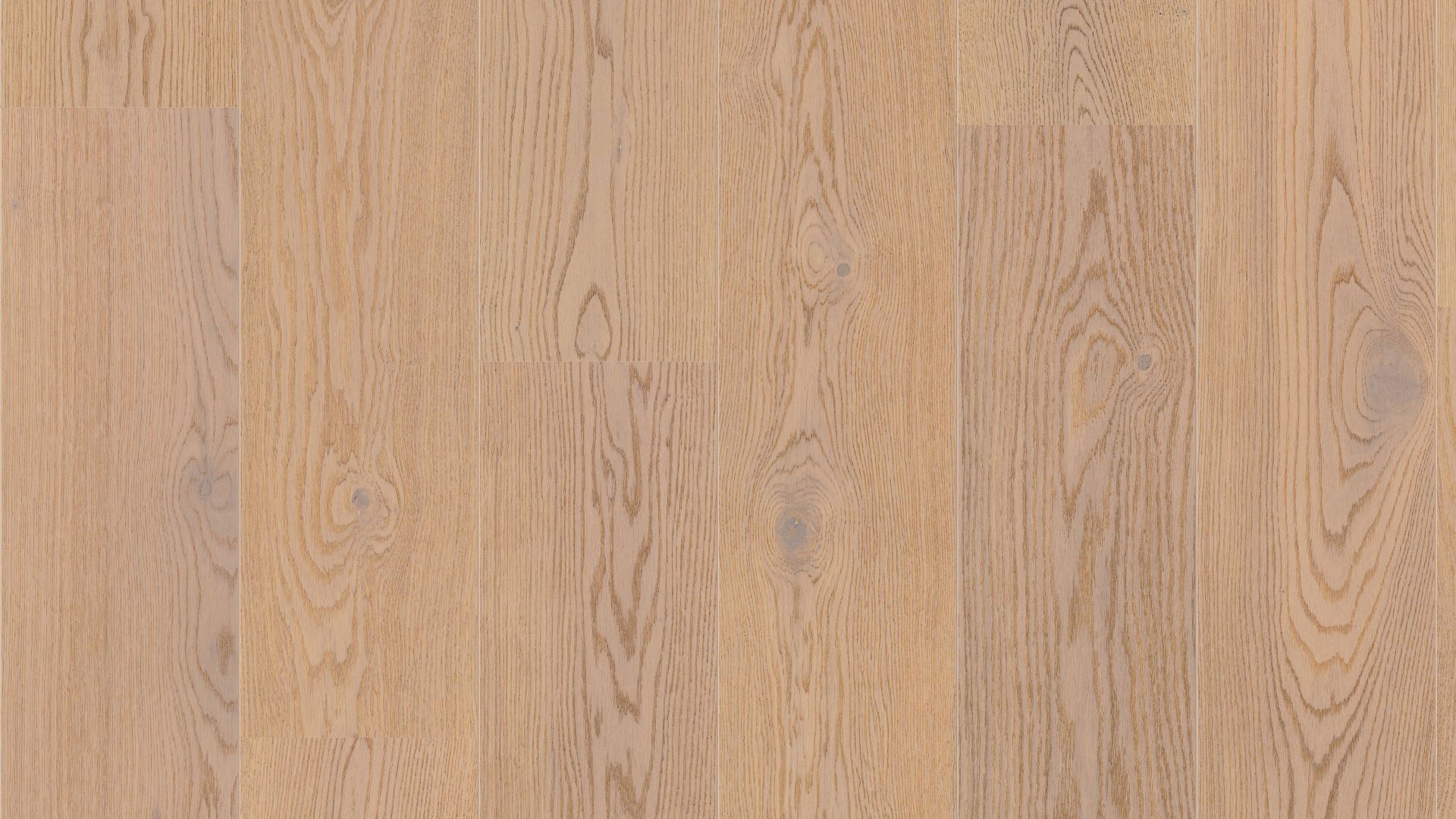Крупный план напольного покрытия Tarkett Step Oak Baron Sand New демонстрирует мягкую текстуру дуба в приятной песочно-бежевой палитре.
