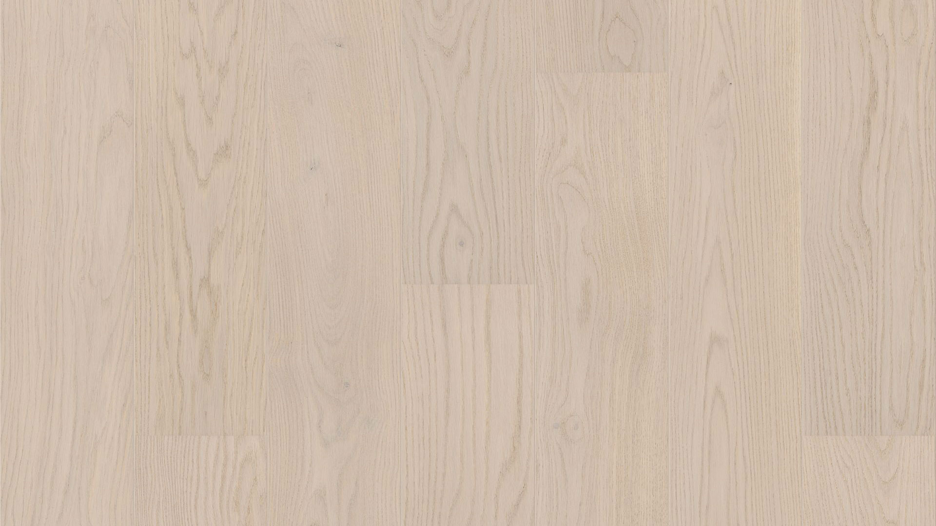 Близкий ракурс доски Tarkett Step Oak Camelia демонстрирует изящный природный узор и нежную текстуру дуба в утонченном кремово-белом цвете.