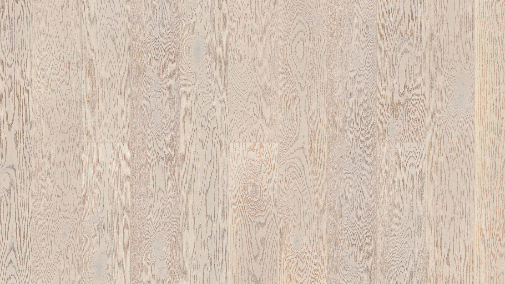 Близкий ракурс доски Tarkett Tango Oak White Opal наглядно демонстрирует изящную текстуру дуба в чистом и благородном белом оттенке.