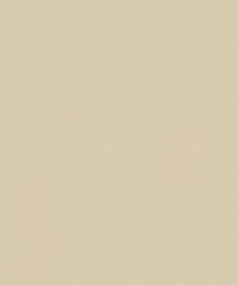 Etrusco-COTTON-022-1 Натуральный линолеум Tarkett Etrusco xf² Cotton 022 светлого кремово-бежевого цвета крупным планом