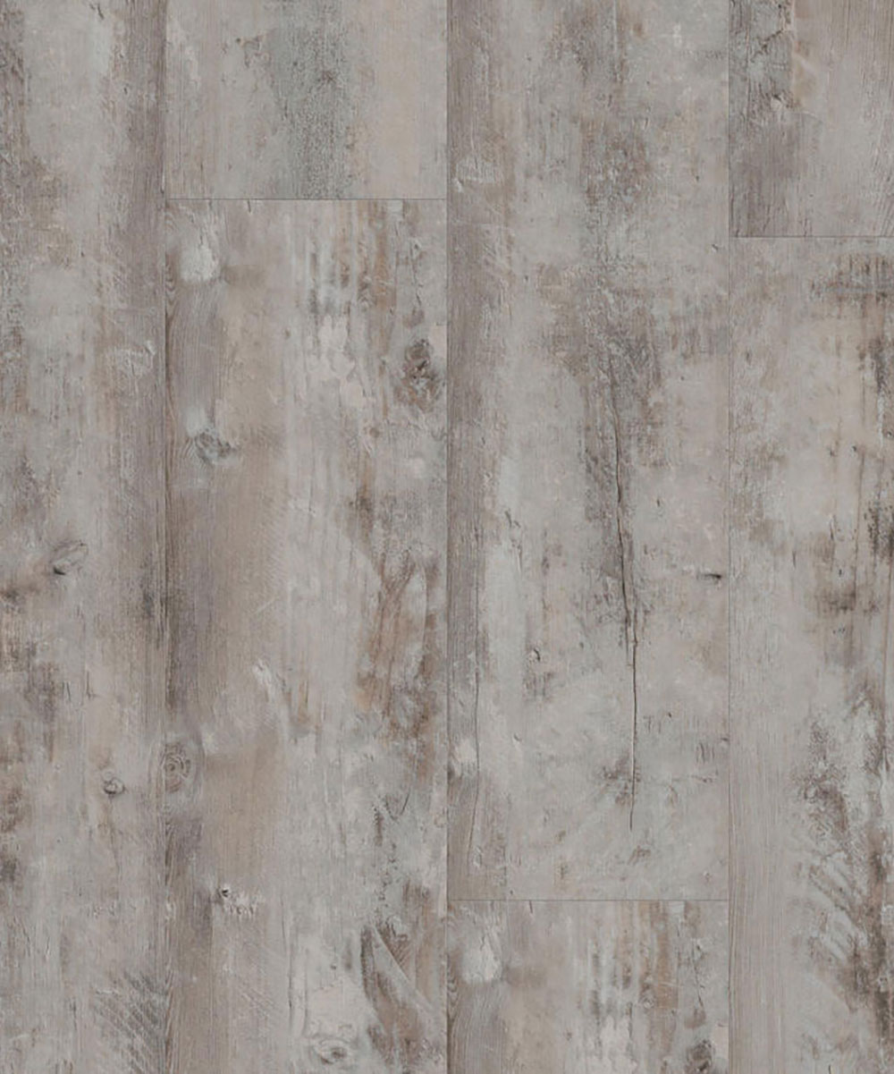 Bohemian-Pine-GREGE-1 Виниловая плитка LVT Tarkett Starfloor Click Ultimate 55 — Bohemian Pine Grege серого цвета с реалистичной состаренной текстурой сосны крупным планом.