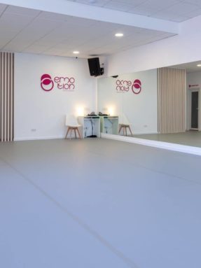 Сценический линолеум Harlequin в интерьере студии Emotion Dance Academy. Профессиональное серое танцевальное напольное покрытие Harlequin.