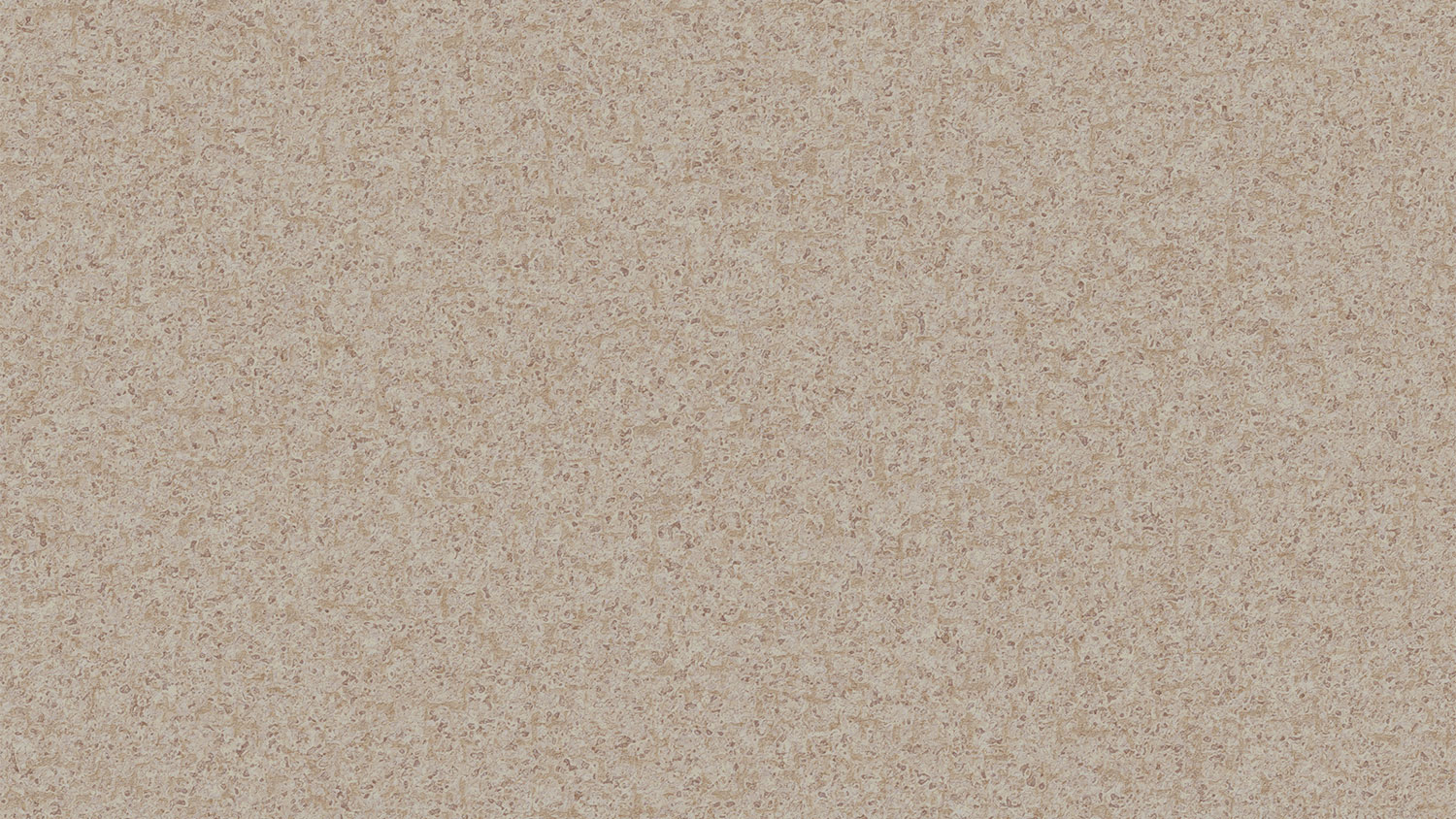 Линолеум коммерческий Tarkett Pragmatic Focus 1 (Россия)